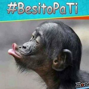 Meet your Posher, Angel